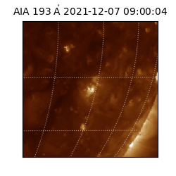 saia - 2021-12-07T09:00:04.843000