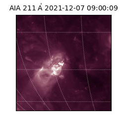 saia - 2021-12-07T09:00:09.626000