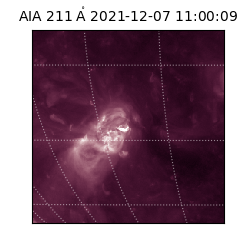 saia - 2021-12-07T11:00:09.626000