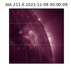 saia - 2021-12-08T00:00:09.626000