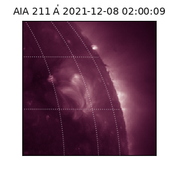 saia - 2021-12-08T02:00:09.622000