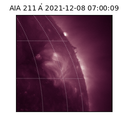 saia - 2021-12-08T07:00:09.632000
