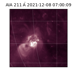 saia - 2021-12-08T07:00:09.632000