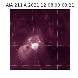 saia - 2021-12-08T09:00:21.626000