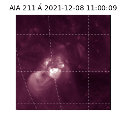 saia - 2021-12-08T11:00:09.621000