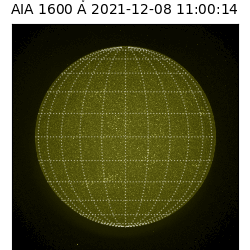 saia - 2021-12-08T11:00:00