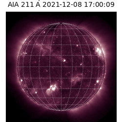 saia - 2021-12-08T17:00:00