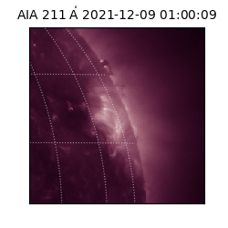 saia - 2021-12-09T01:00:09.626000