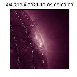 saia - 2021-12-09T09:00:09.632000