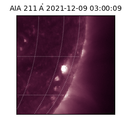 saia - 2021-12-09T03:00:09.627000