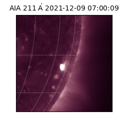 saia - 2021-12-09T07:00:09.626000