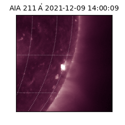 saia - 2021-12-09T14:00:09.632000