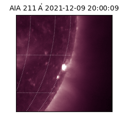 saia - 2021-12-09T20:00:09.622000