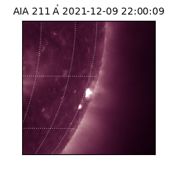 saia - 2021-12-09T22:00:09.626000