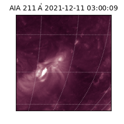 saia - 2021-12-11T03:00:09.622000