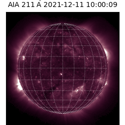 saia - 2021-12-11T10:00:00