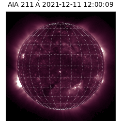 saia - 2021-12-11T12:00:00