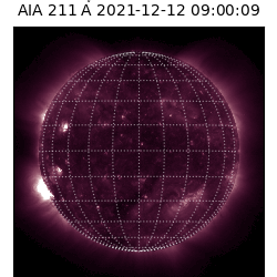 saia - 2021-12-12T09:00:00