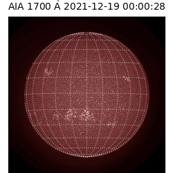 saia - 2021-12-19T00:00:00