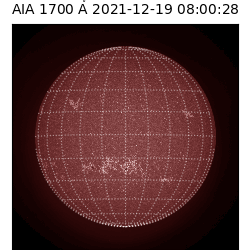 saia - 2021-12-19T08:00:00