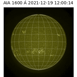saia - 2021-12-19T12:00:00