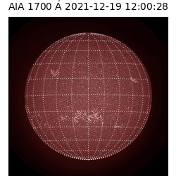 saia - 2021-12-19T12:00:00