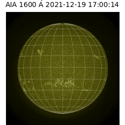 saia - 2021-12-19T17:00:00