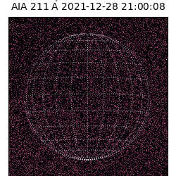 saia - 2021-12-28T21:00:08