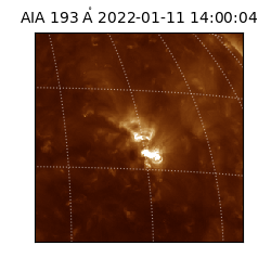 saia - 2022-01-11T14:00:04.835000