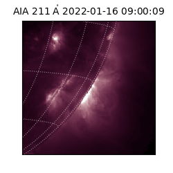 saia - 2022-01-16T09:00:09.625000