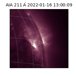 saia - 2022-01-16T13:00:09.632000