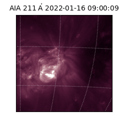 saia - 2022-01-16T09:00:09.625000