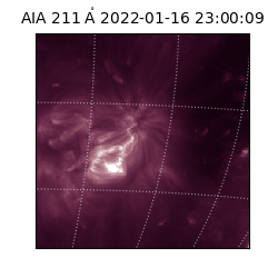 saia - 2022-01-16T23:00:09.626000