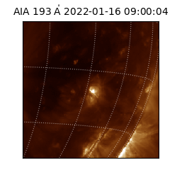 saia - 2022-01-16T09:00:04.847000