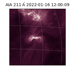 saia - 2022-01-16T12:00:09.626000
