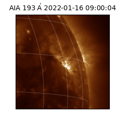 saia - 2022-01-16T09:00:04.847000