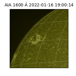 saia - 2022-01-16T19:00:14.126000