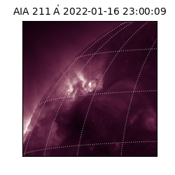 saia - 2022-01-16T23:00:09.626000