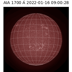 saia - 2022-01-16T09:00:00