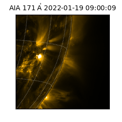 saia - 2022-01-19T09:00:09.350000