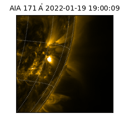 saia - 2022-01-19T19:00:09.342000