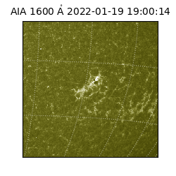 saia - 2022-01-19T19:00:14.118000