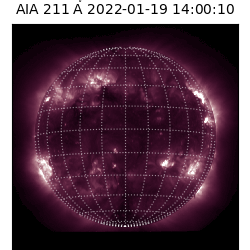 saia - 2022-01-19T14:00:00