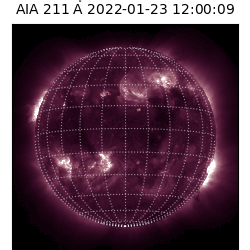 saia - 2022-01-23T12:00:00
