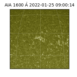 saia - 2022-01-25T09:00:14.125000
