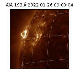 saia - 2022-01-26T09:00:04.843000