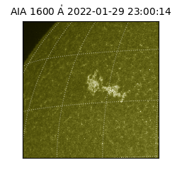 saia - 2022-01-29T23:00:14.132000