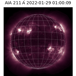 saia - 2022-01-29T01:00:00