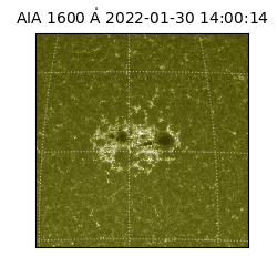 saia - 2022-01-30T14:00:14.130000