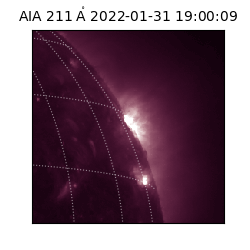 saia - 2022-01-31T19:00:09.632000